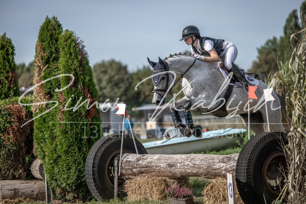 20250907-_3LI9359 | Tierfotografie Pferde, Hunde, Katzen, Haustiere.
Turnierfotografie Reitturniere, Reiten, Springreiten, Dressur in Hanau, dem Main-Kinzig-Kreis und dem Rhein-Main- Gebiet um Frankfurt