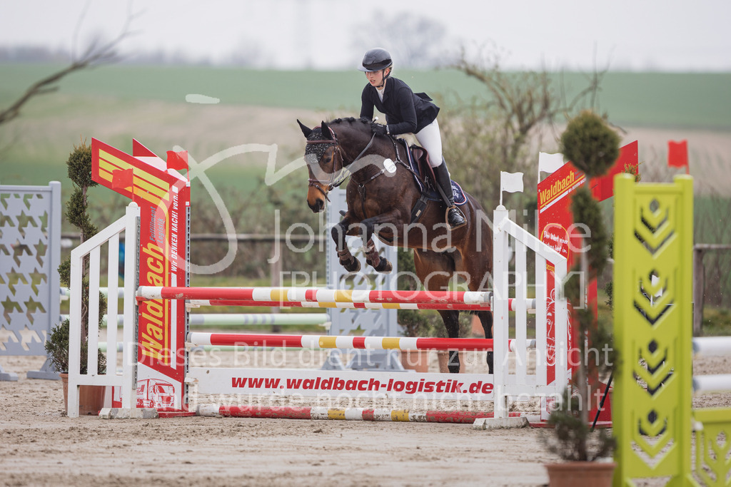 230408_Frühlingsfest_Stil-A2_LK3-4-737 | Deine schönsten Turniermomente als professionelle Fotos! Entdecke hochwertige Pferdesport-Fotografie im Online-Shop. Jetzt Fotos finden & bestellen!