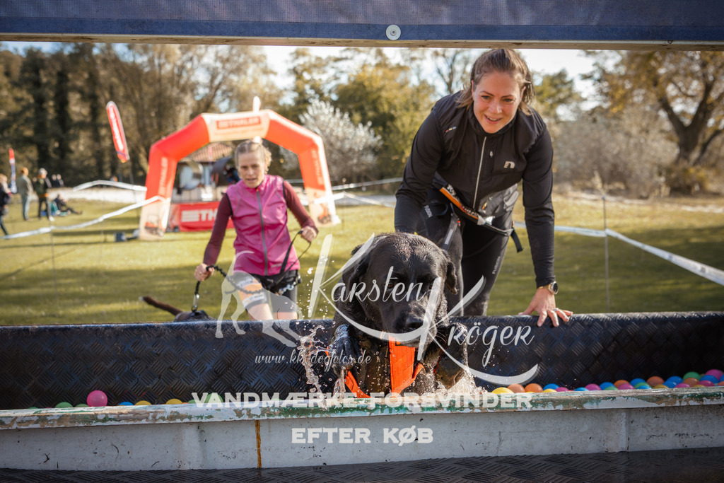 1317_ZZ99944-2 | kk-dogfotos