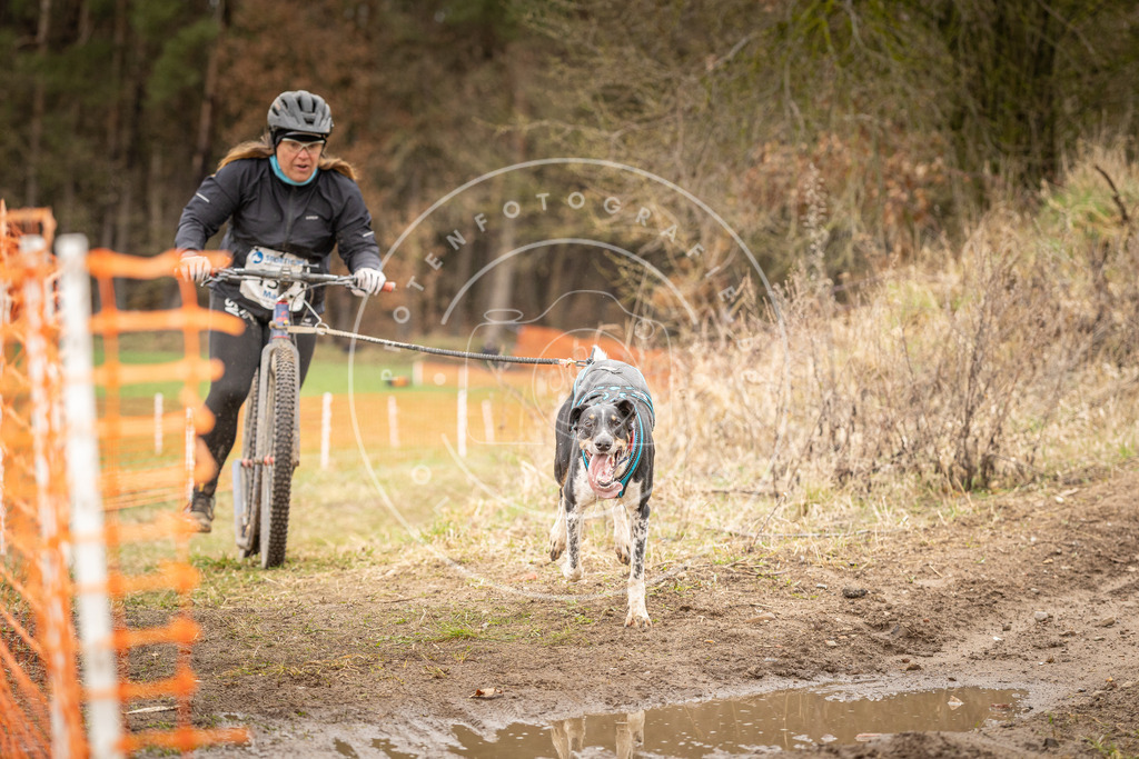 DV3A1508 | Hundefotografie, Tierfotograf, Pfotenfotografie, Fotoshooting Hund, Hunde Portrait, Hundesport, Hundeportraits, Heideshooting, Hunde, Sportfotograf, Hundefotograf, Turnierhundsport, THS,  - Realisiert mit Pictrs.com