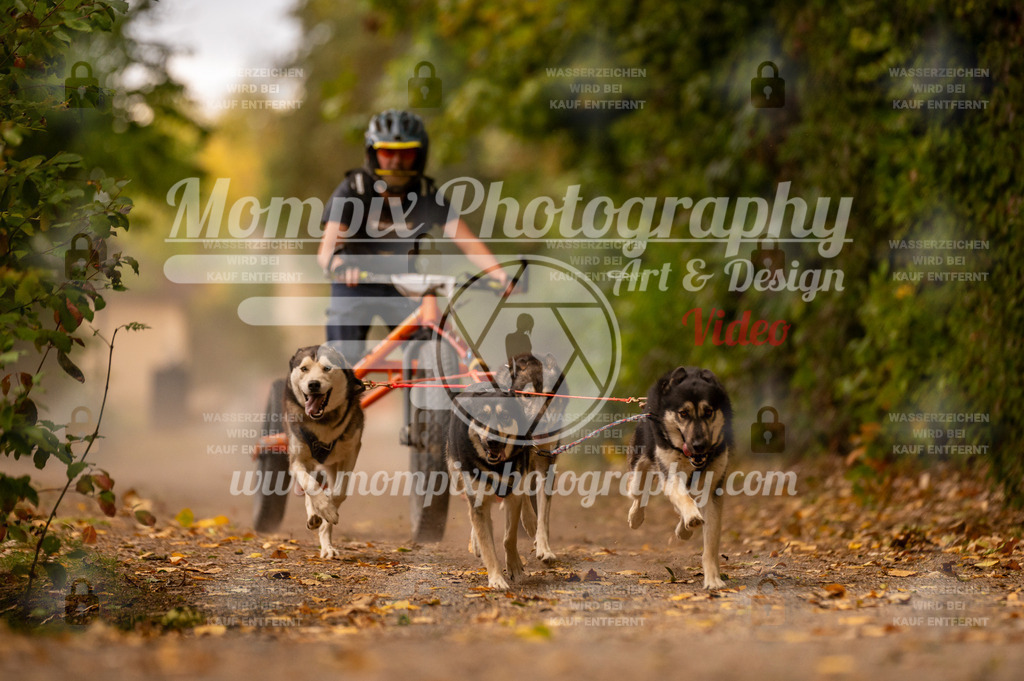 CDLBDB_14_10_2023_Samedi-2 | PayLife