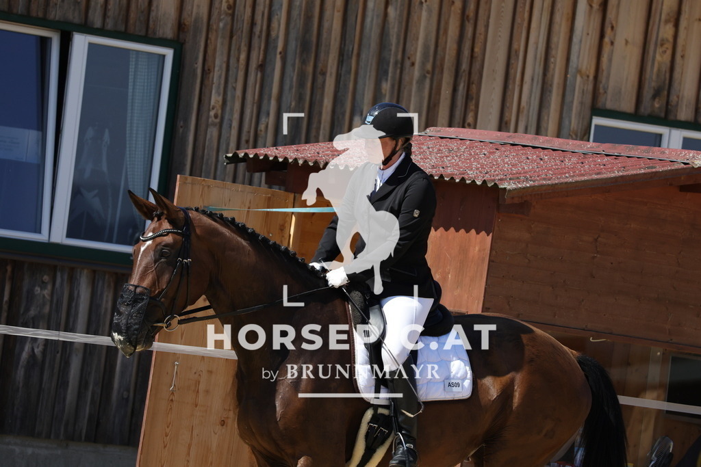 0P6A8166 | Willkommen bei Brunnmayr - Design & Fotografie – Ihrem Spezialisten für Reitturniere und Pferdeveranstaltungen in Oberösterreich, Salzburg und Bayern! Seit über 17 Jahren sind wir leidenschaftlich dabei.