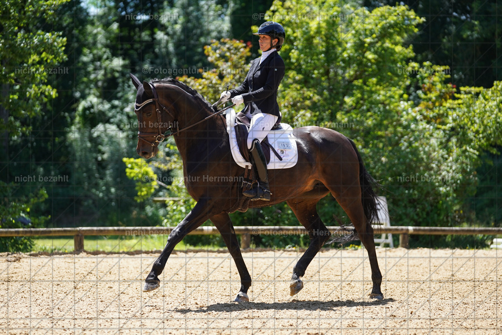 20240705-FAH04094 | Turnierbilder von Grafing, Reitsportbilder, Turnierfotos, Turnierfotografen Bayern, Pferdefotograf, Fotoagentur Herrmann