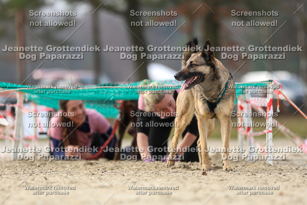 Dog Paparazzi - Strongdog North Mrz26-4805 | Dog Paparazzi Jeanette Grottendiek Fotografie & Videografie - Realisiert mit Pictrs.com
