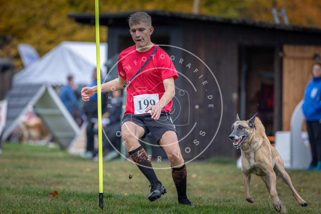 Pfotenfotografie_DV3A0819 | Hundefotografie, Tierfotograf, Pfotenfotografie, Fotoshooting Hund, Hunde Portrait, Hundesport, Hundeportraits, Heideshooting, Hunde, Sportfotograf, Hundefotograf, Turnierhundsport, THS,  - Realisiert mit Pictrs.com