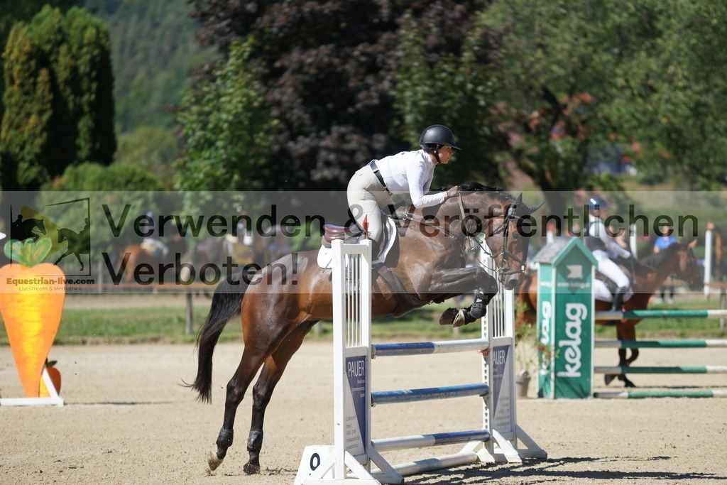 DSC07681 | equestrian-live-com