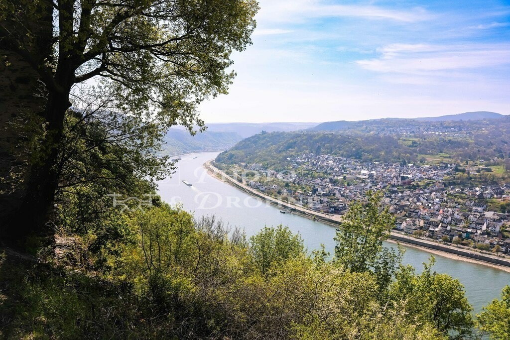 Burg Sterrenberg-8079 | Die Burg Sterrenberg ist eine der feindlichen Brüder oberhalb von Kamp Bornhofen. - Realisiert mit Pictrs.com