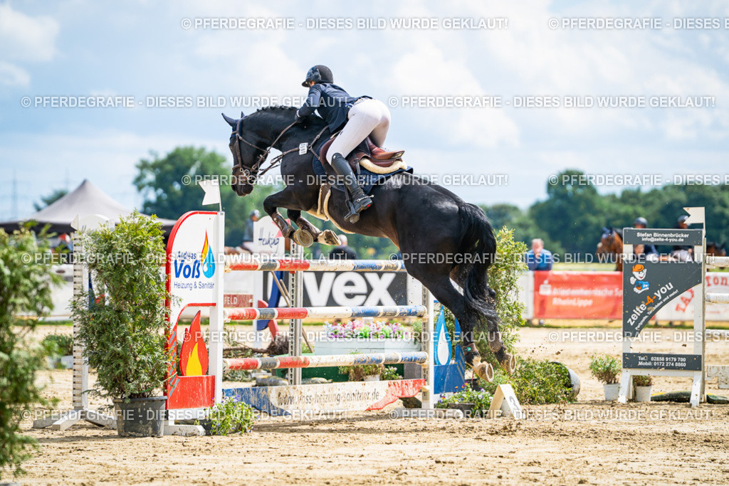 DSC05829 | Pferdegrafie