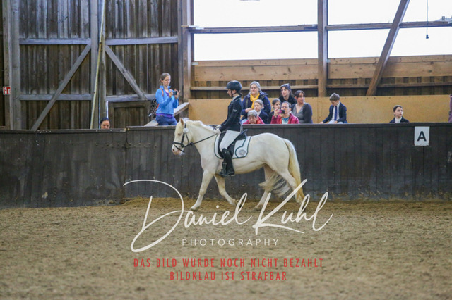 IMG_1639 | Turniersportfotografie; Pferdefotografie; Dressurfotografie