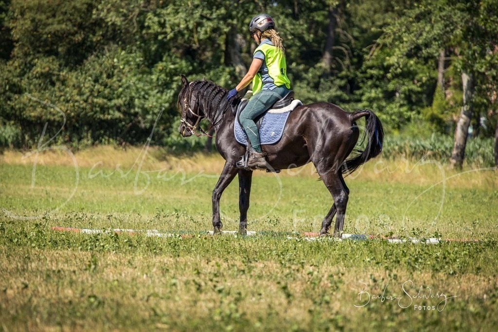 CJP_2026-06-26_192 | Stimmungsvolle Fotografie von Pferden, fotografische Begleitung von Veranstaltungen, Golfturnieren und Distanzritten - Realisiert mit Pictrs.com