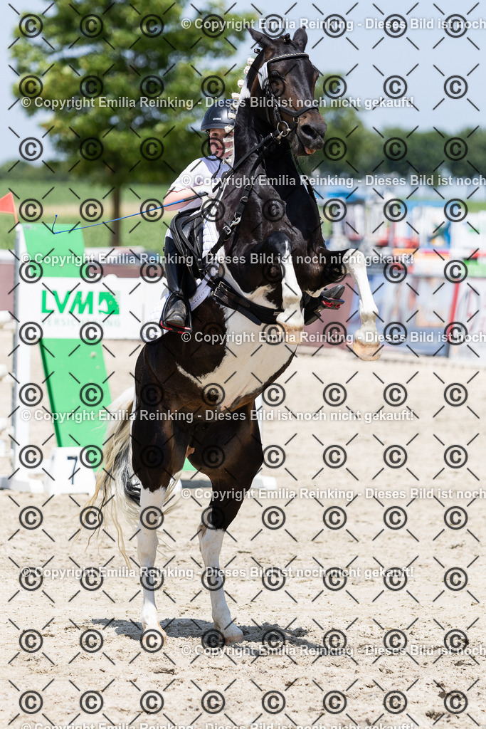 CL5A3566 | Emilia Reinking Fotografie - Realisiert mit Pictrs.com