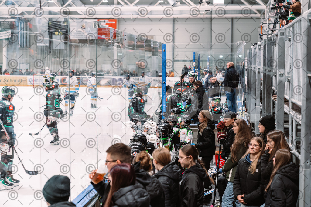 Alligators_vs_Stuttgart_16_11_2025-78 | Höchstadt Alligators Fotogalerie: Eishockey-Action aus Franken. Professionelle Spielfotos, Portraits & Stadionbilder zum Download. Jetzt entdecken! - Realisiert mit Pictrs.com