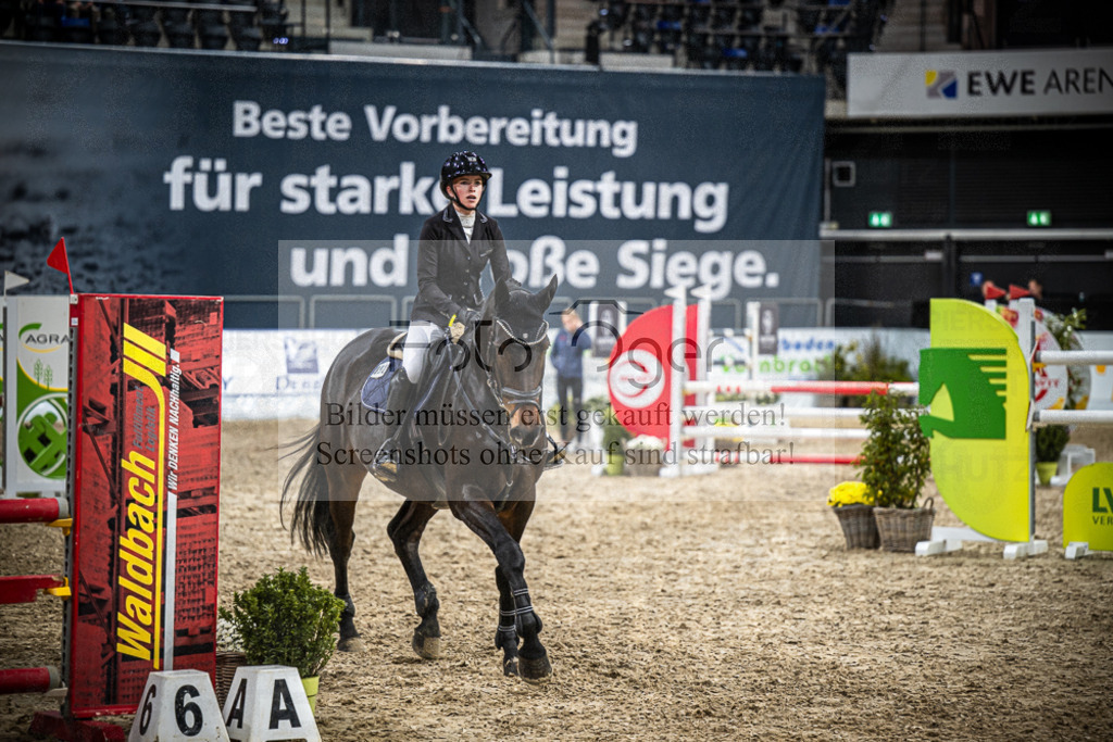 DOS_2180 | Entdecke hochwertige Reitturnierfotos von Foto Oger. Professionell, emotional und authentisch – jetzt Lieblingsmomente im Shop bestellen.Deutschlandweite Turnierfotografie. - Realisiert mit Pictrs.com