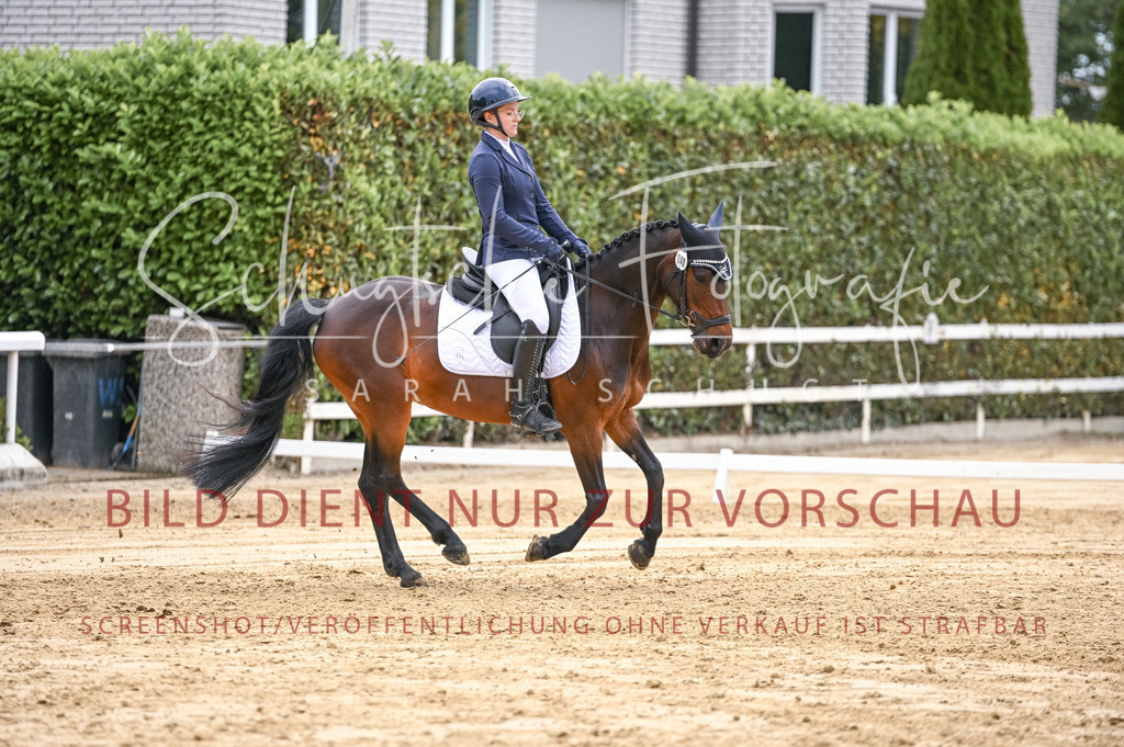 Schugtsche-Aluta25-42.EDressur -341 | Schugtsche Fotografie - Realisiert mit Pictrs.com