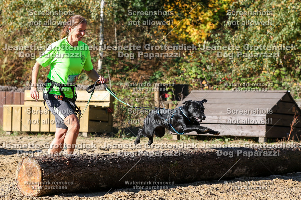 Dog Paparazzi - Strongdog 10-25-2390 | Dog Paparazzi Jeanette Grottendiek Fotografie & Videografie - Realisiert mit Pictrs.com