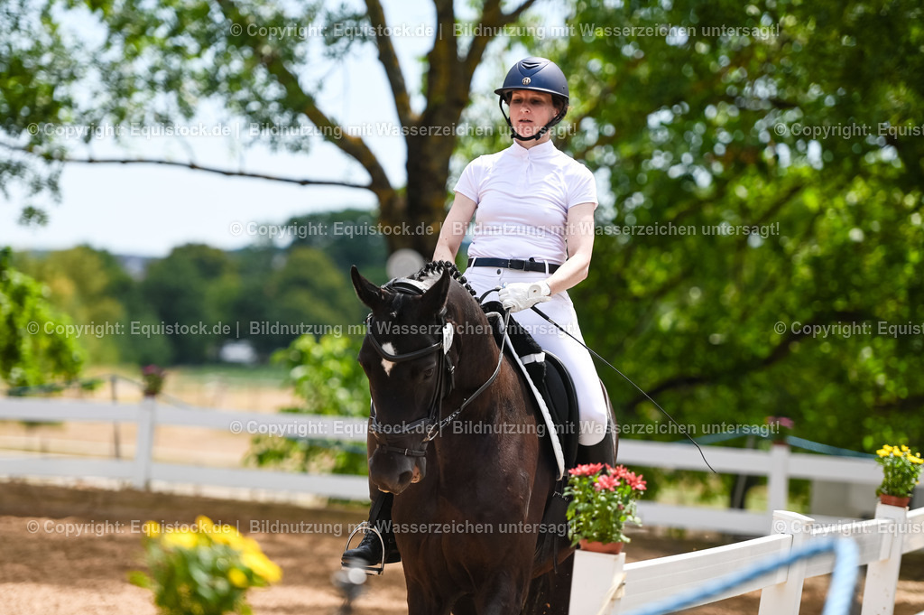 20230715_05_Dressurprüfung Kl.A++_0289 | equistock