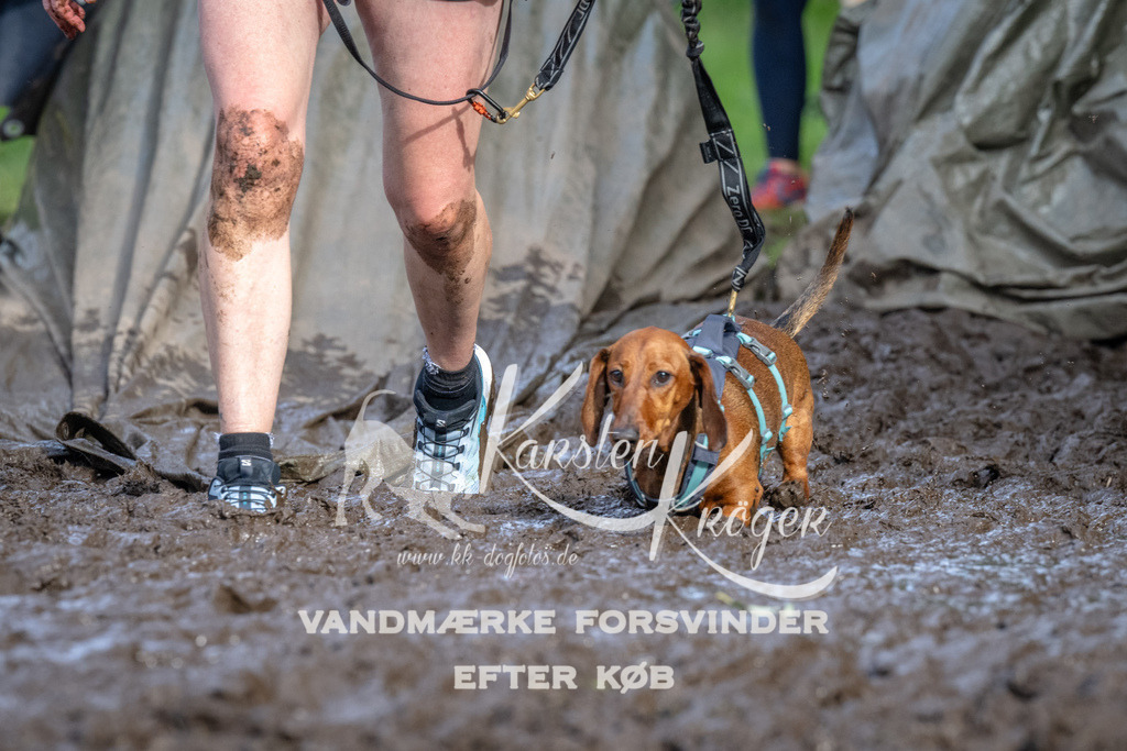 1734_ZZ92644 | kk-dogfotos
