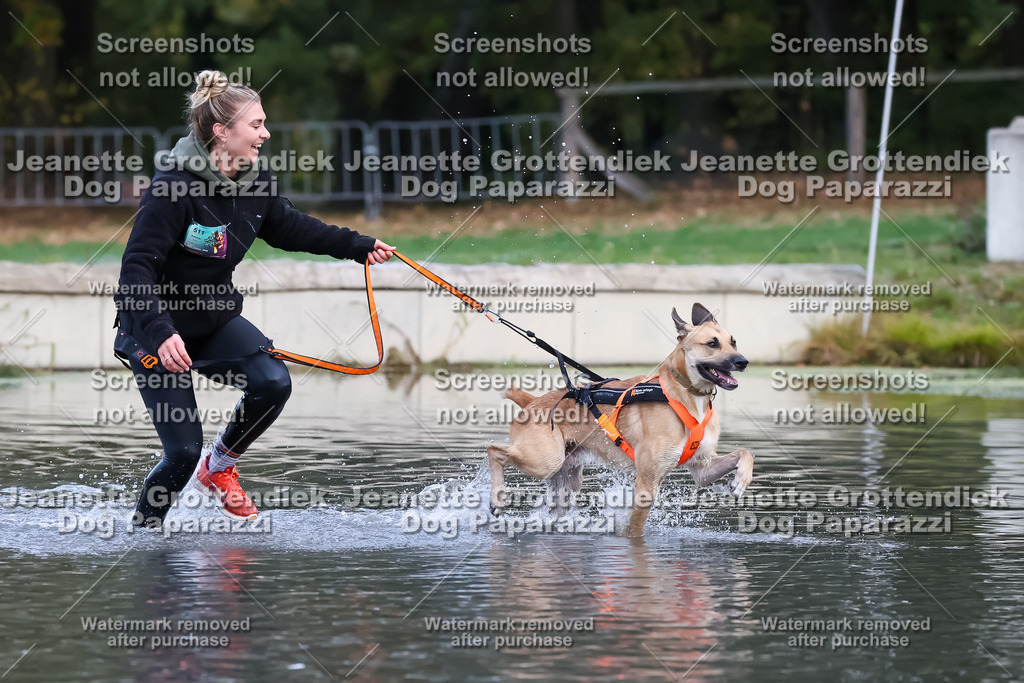 Dog Paparazzi - Strongdog 10-25-6315 | Dog Paparazzi Jeanette Grottendiek Fotografie & Videografie - Realisiert mit Pictrs.com