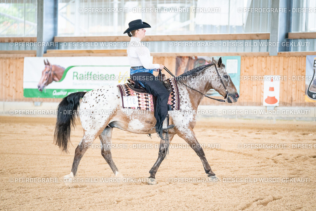 DSC01791 | Pferdegrafie