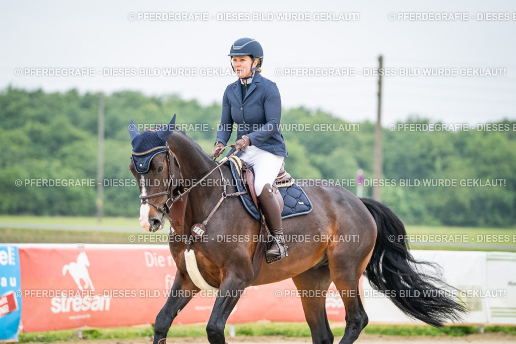 DSC00025 | Pferdegrafie