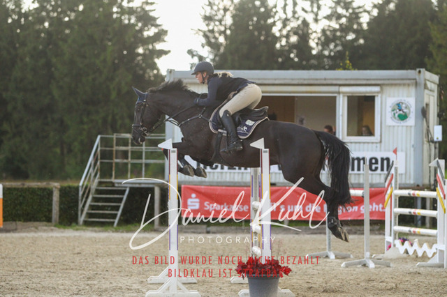 DKP43975 | Turniersportfotografie; Pferdefotografie; Dressurfotografie