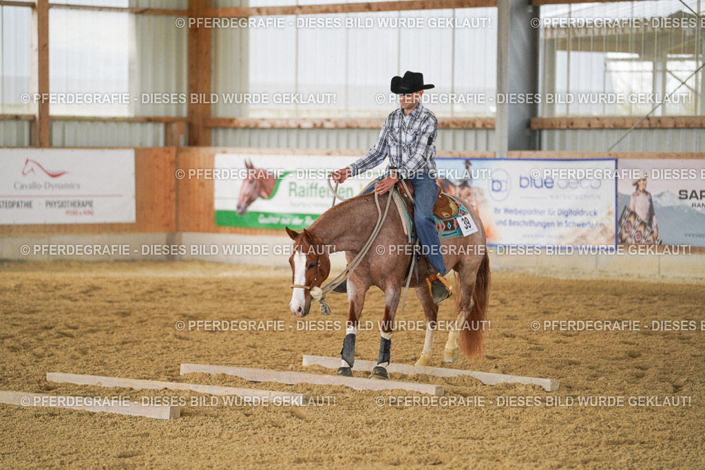 DSC03725 | Pferdegrafie