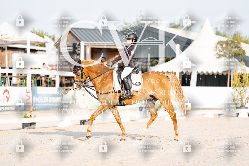 CK903713 | Turnierfotografie Pferdefotografie Trier Rheinland-Pfalz Pferdesport Reitsport Tierfotografie Sportfotografie Pferdevideo Pferdevideografie Equestrianvideography equestrianphotography  - Realisiert mit Pictrs.com