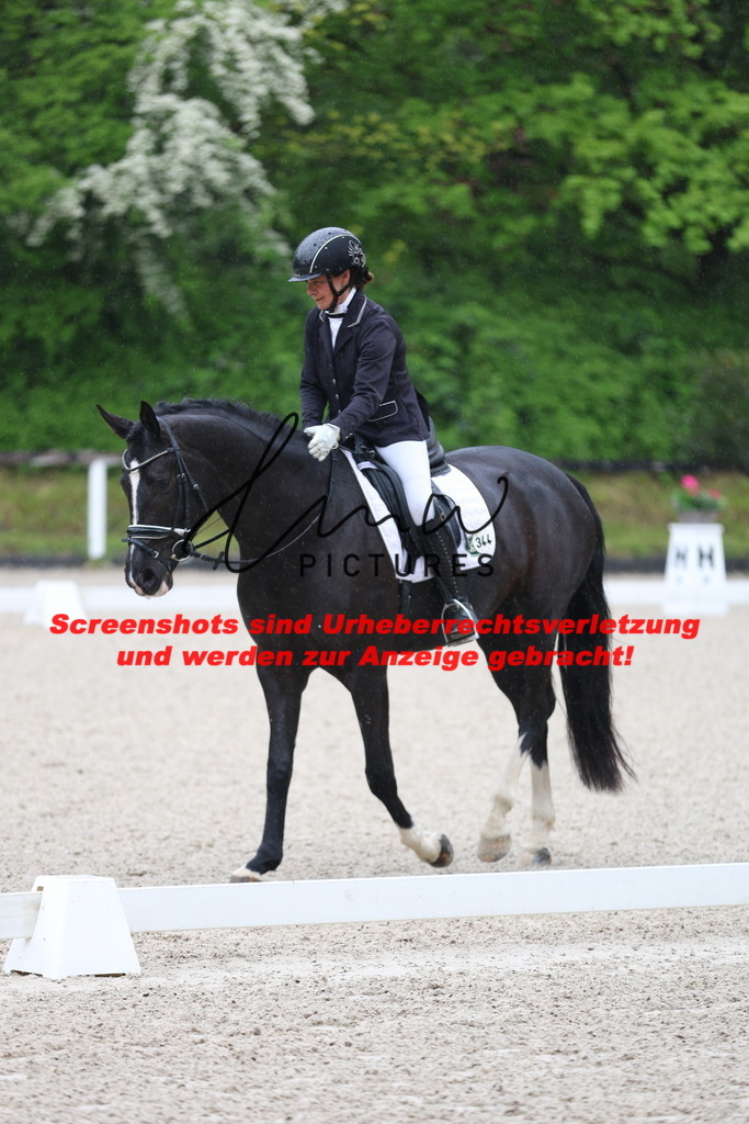 A40A7138 | lmwpictures - Realisiert mit Pictrs.com