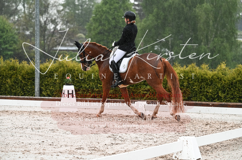 DSC_4604 | Pferde- und Turnierfotografie in Westsachsen. Pferdeportraits, Auftragszeichnungen und intuitive Kunst.
