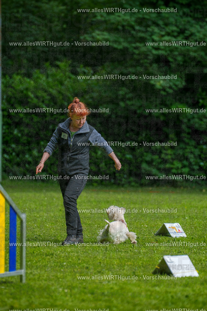 @allesWIRTHgut_Tierfotografie - www.allesWIRTHgut.de - 7R503820 | Professionelle Tierfotografie in Mönchengladbach von Daniel Wirth (allesWIRTHgut). Liebevolle & natürliche Bilder von Hunden & Katzen für unvergessliche Erinnerungen.
