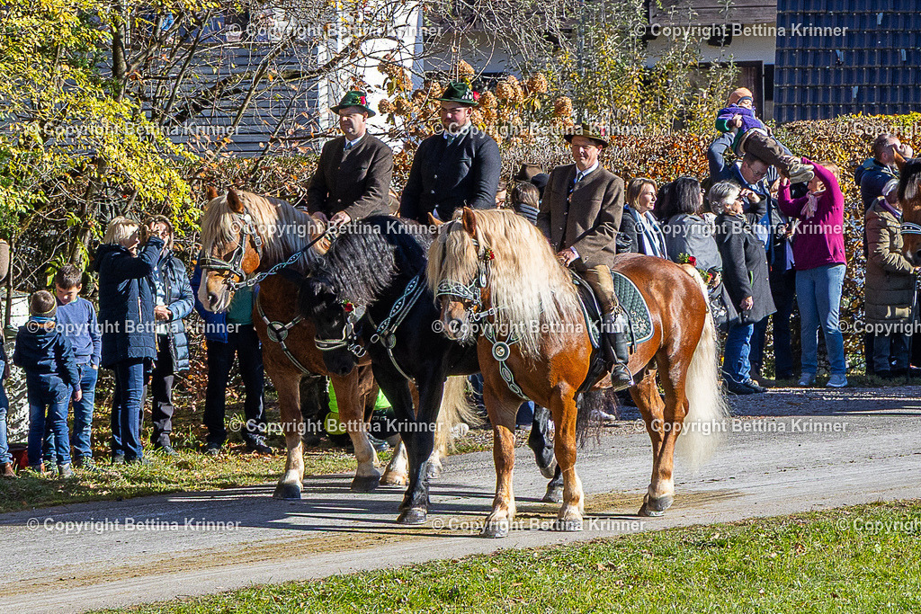 LBT25-761 | foto-bettina-krinner - Realisiert mit Pictrs.com