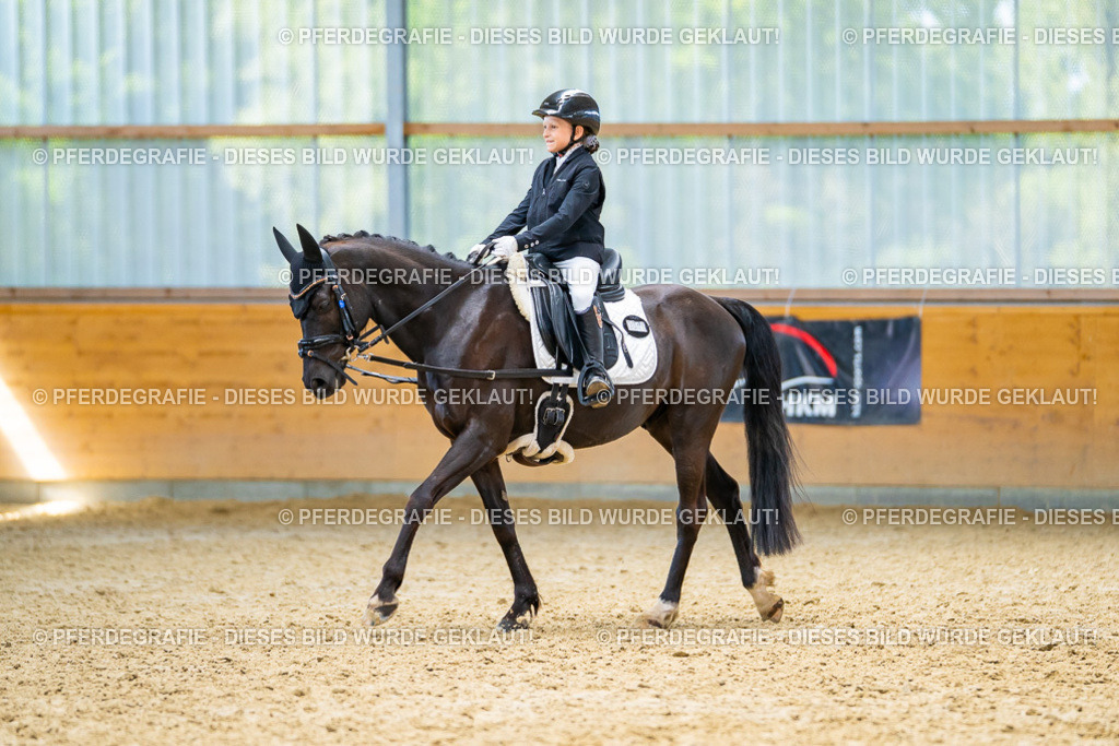 DSC08977 | Pferdegrafie