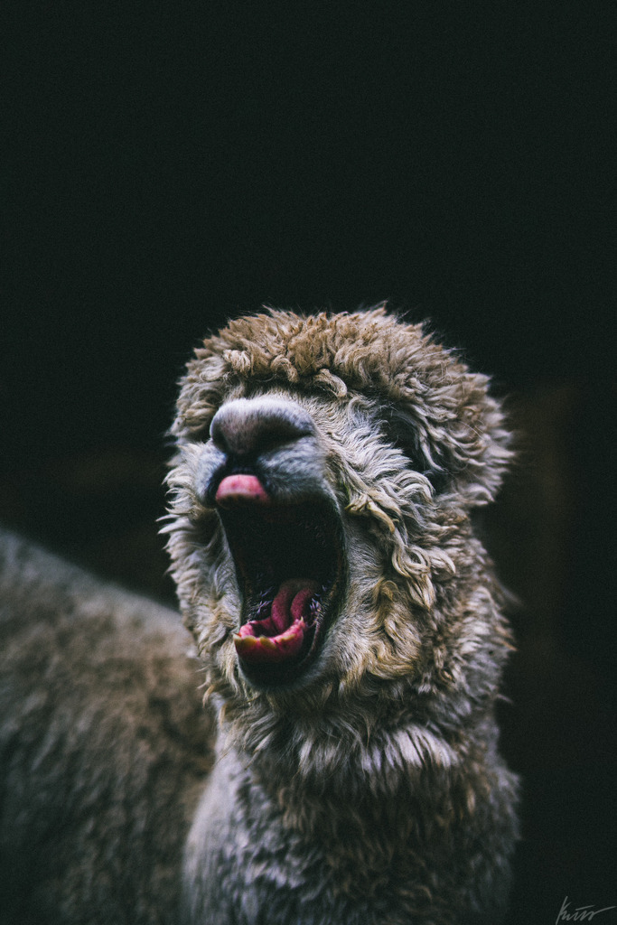 _DSC3707 | In meinem Onlineshop biete ich nur sehr kritisch ausgewählte Fotografien an. Diese sind von meinen Reisen oder Kurztrips. Ich habe sie ausgewählt, da diese meiner Meinung Nach wunderbare Wandbilder darstellen.  - Realisiert mit Pictrs.com