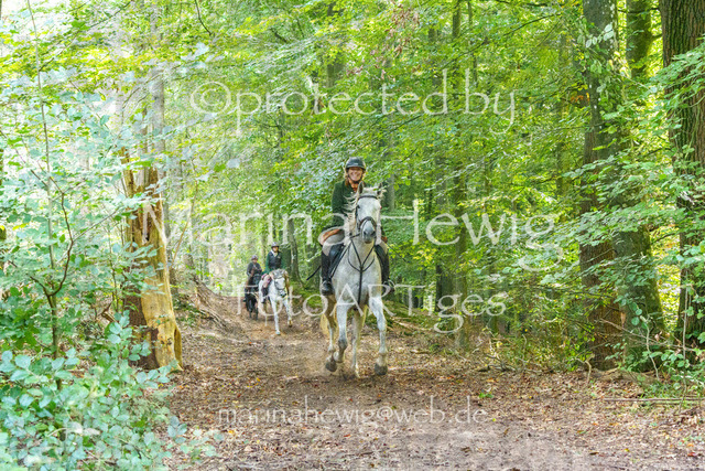 Jagd Perdoel_MarinaHewigMCH04799 | Fotografie, FotoArt, PferdesportArt, Pferdesportfotografie, Landschaftsfotografie, Reisefotografie, Reise, Pferde - Realisiert mit Pictrs.com