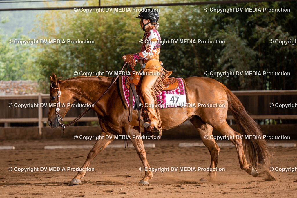 Erbach Tag 1-724 | dv-media-shop - Realisiert mit Pictrs.com