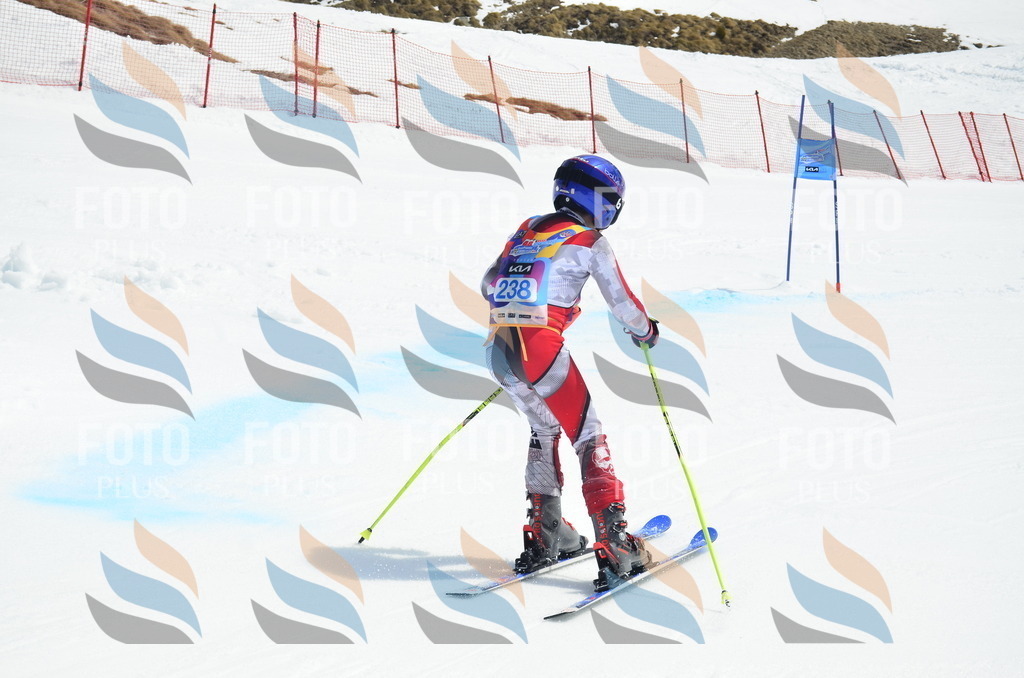 _ELE1718 | holidayphoto