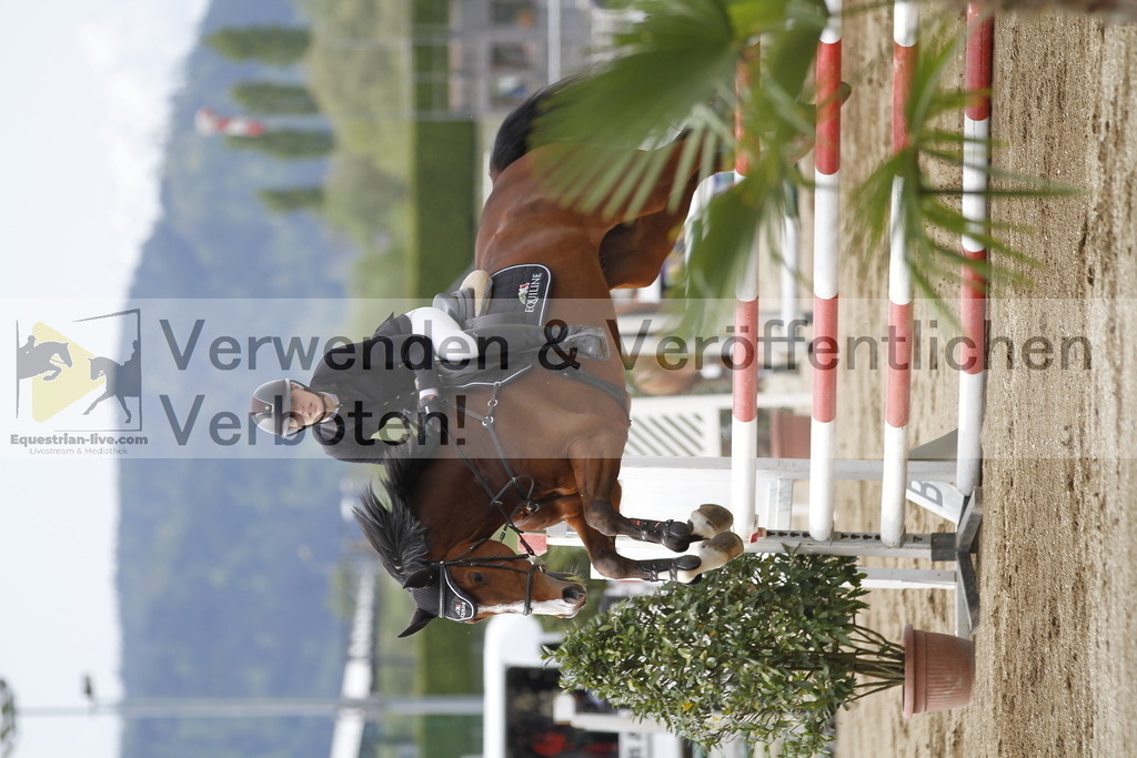 _MG_1739 | equestrian-live-com