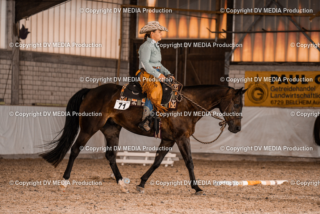 ZH300183 | dv-media-shop - Realisiert mit Pictrs.com