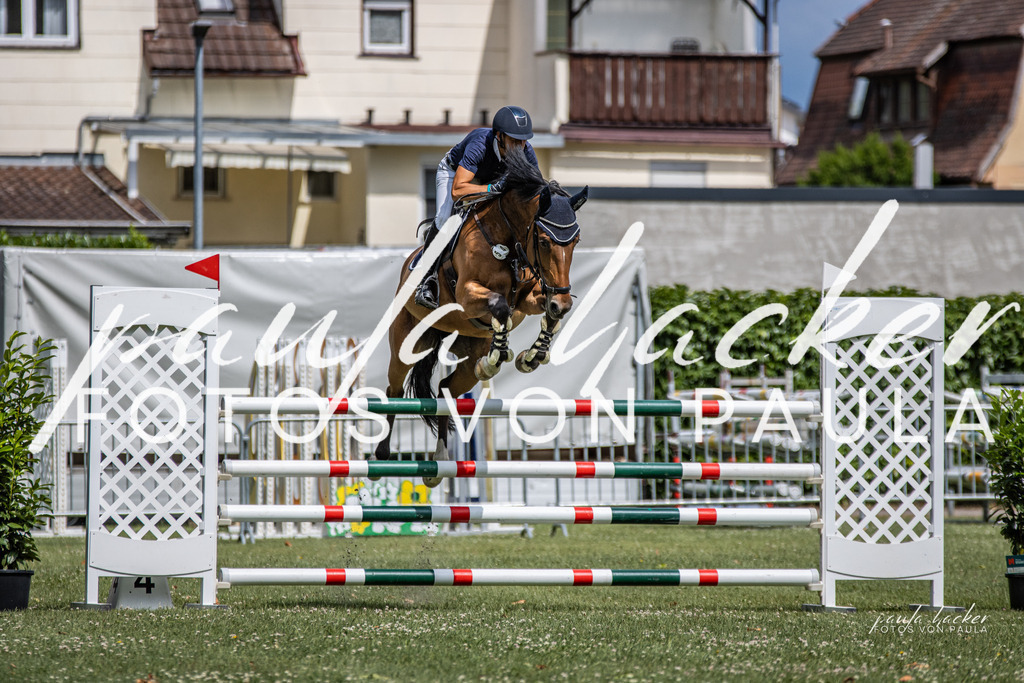 IMG_7151 | Erleben Sie dynamische Sport- und emotionale Tierfotografie in Süddeutschland mit Fotos von Paula. Spezialisiert auf Pferde- und Hundefotografie sowie Sportevents. Kontaktieren Sie mich für einzigartige und ausdrucksstarke Bilder Ihrer besonderen Momente. - Realisiert mit Pictrs.com