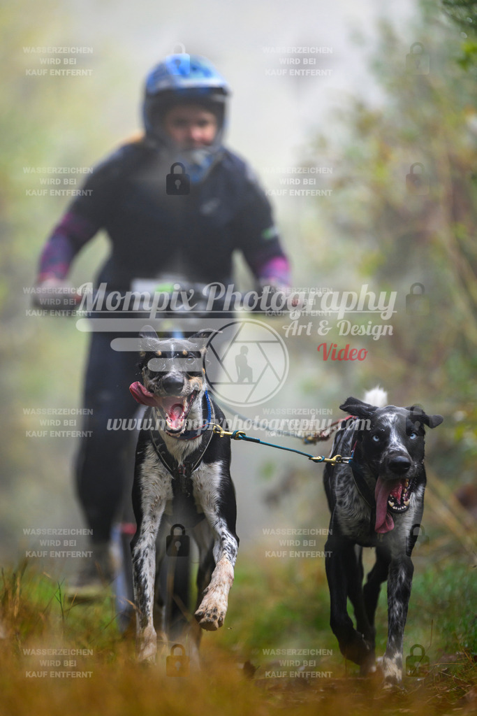 MompixPhotography_20TSB_E4_DS2-18 | PayLife