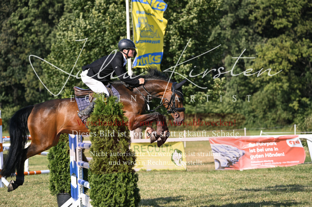 DSC_1584 | Pferde- und Turnierfotografie in Westsachsen. Pferdeportraits, Auftragszeichnungen und intuitive Kunst.