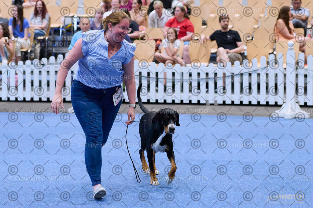 202406_ÖKV-IHA-Tulln24_DSC_4068 | proPHOTO - Realisiert mit Pictrs.com