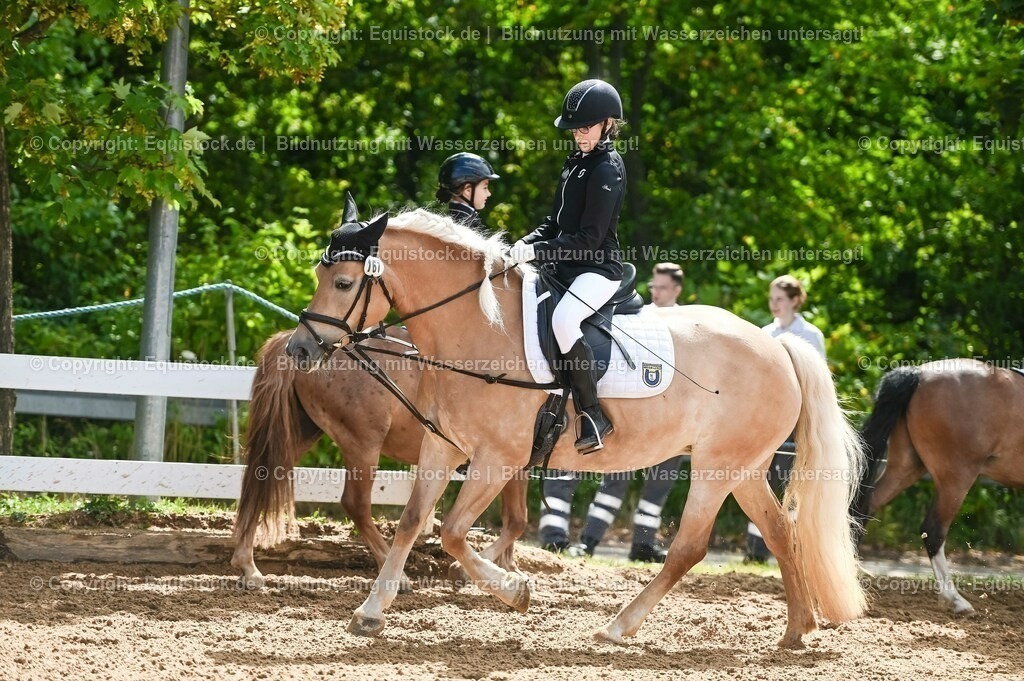 20230716_10-3_Reiter-WB Schritt - Trab - Galopp_0091 | equistock