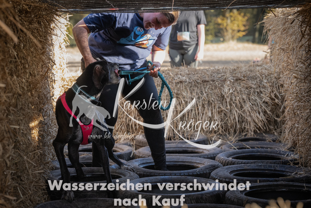 1119_ZZ90852 | kk-dogfotos