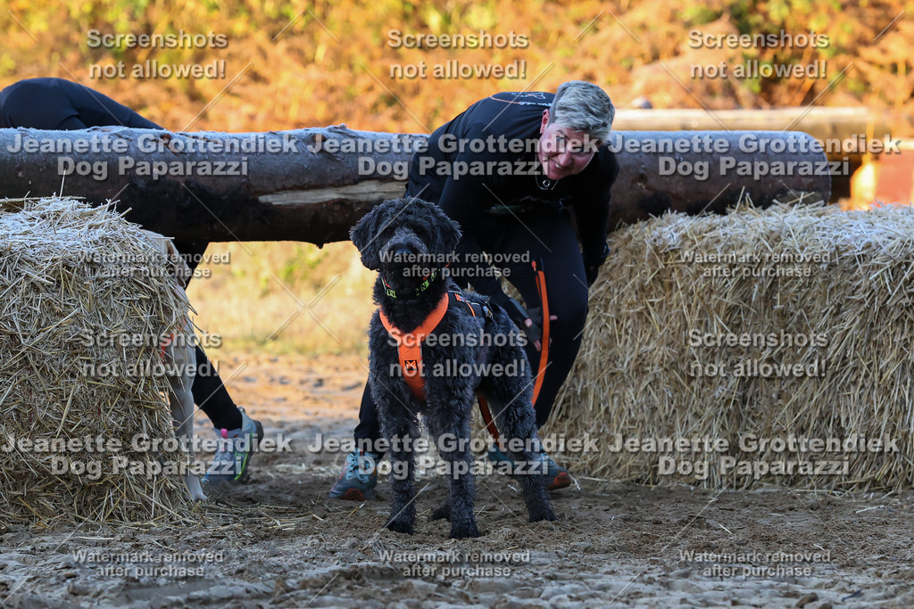 Dog Paparazzi - Strongdog 10-25-441 | Dog Paparazzi Jeanette Grottendiek Fotografie & Videografie - Realisiert mit Pictrs.com