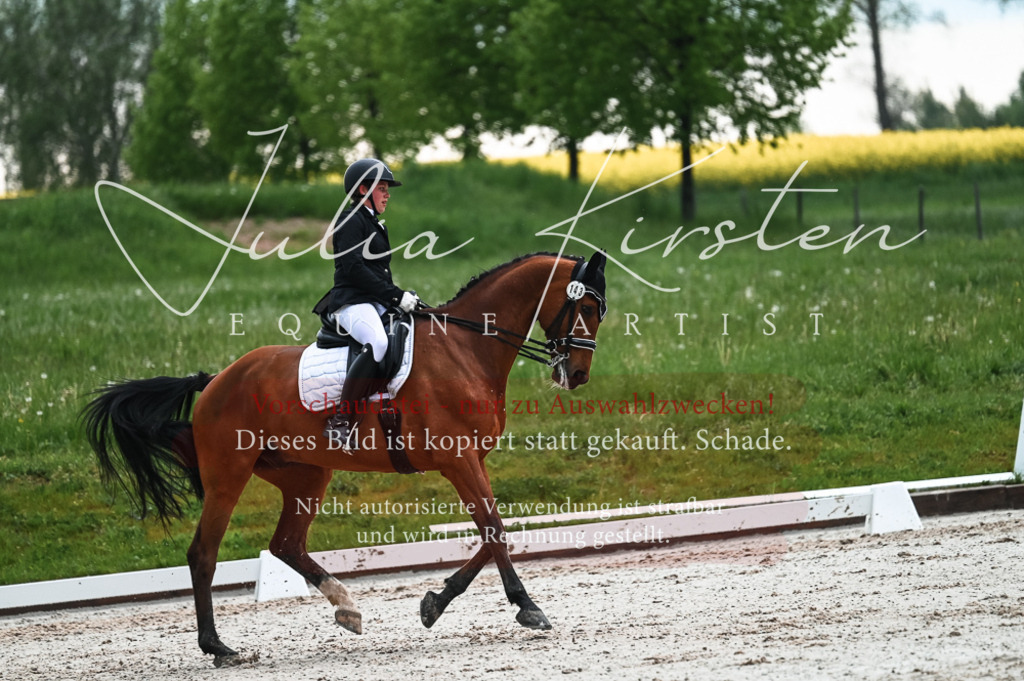 DSC_4390 | Pferde- und Turnierfotografie in Westsachsen. Pferdeportraits, Auftragszeichnungen und intuitive Kunst.