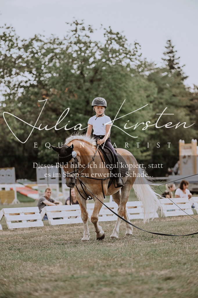 DSC_7665 | Pferde- und Turnierfotografie in Westsachsen. Pferdeportraits, Auftragszeichnungen und intuitive Kunst.