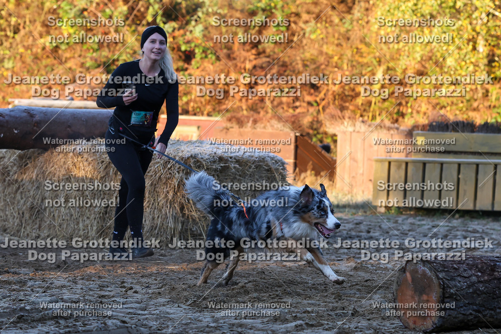 Dog Paparazzi - Strongdog 10-25-537 | Dog Paparazzi Jeanette Grottendiek Fotografie & Videografie - Realisiert mit Pictrs.com