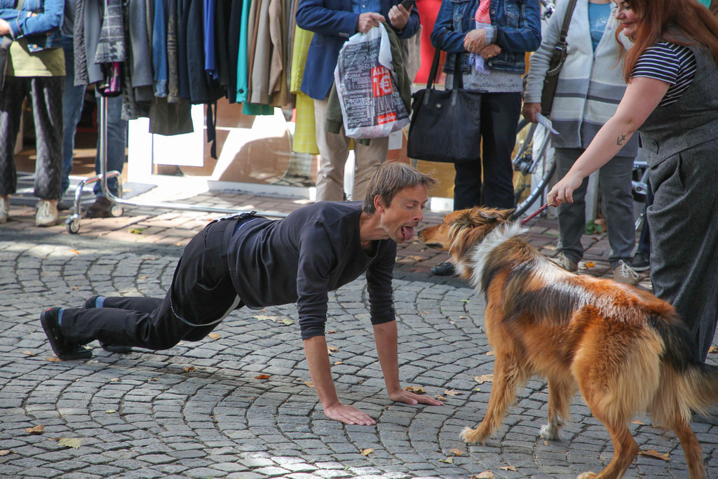 ShivaGrings_Act1_032 | Bildergalerie von Sport-Ereignissen aber auch von weiteren spannenden Dingen - nicht nur vom Niederrhein. In Anlehnung an den bekannten Spruch von Hanns Dieter Hüsch heißt das Motto: "Niederrhein ist überall".  - Realisiert mit Pictrs.com