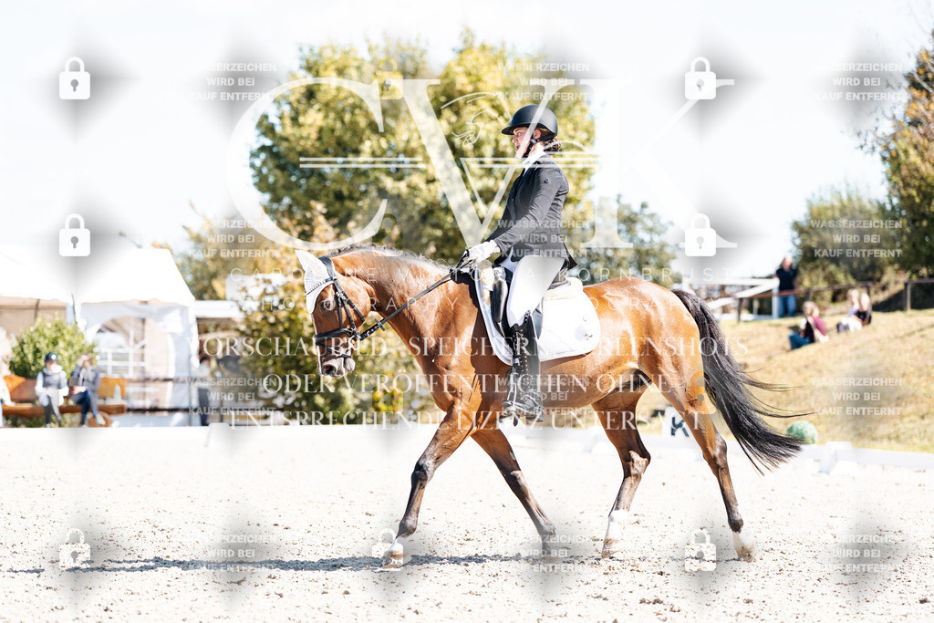 CK903724 | Turnierfotografie Pferdefotografie Trier Rheinland-Pfalz Pferdesport Reitsport Tierfotografie Sportfotografie Pferdevideo Pferdevideografie Equestrianvideography equestrianphotography  - Realisiert mit Pictrs.com
